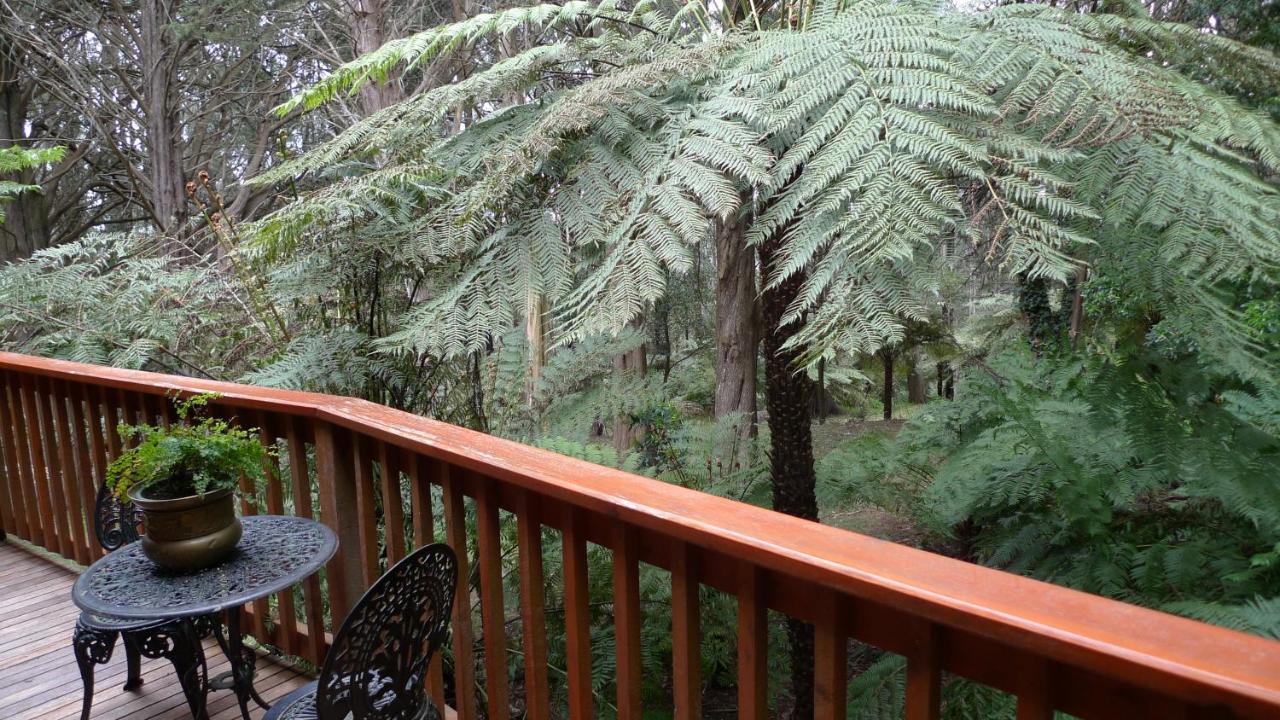 Chudleigh Park Cottages 萨沙弗拉斯 外观 照片